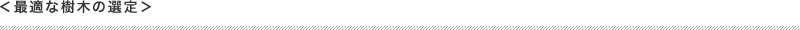 最適な樹木の選定